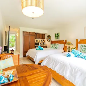 Apartment Islander Ocean # 166, Kapa'a